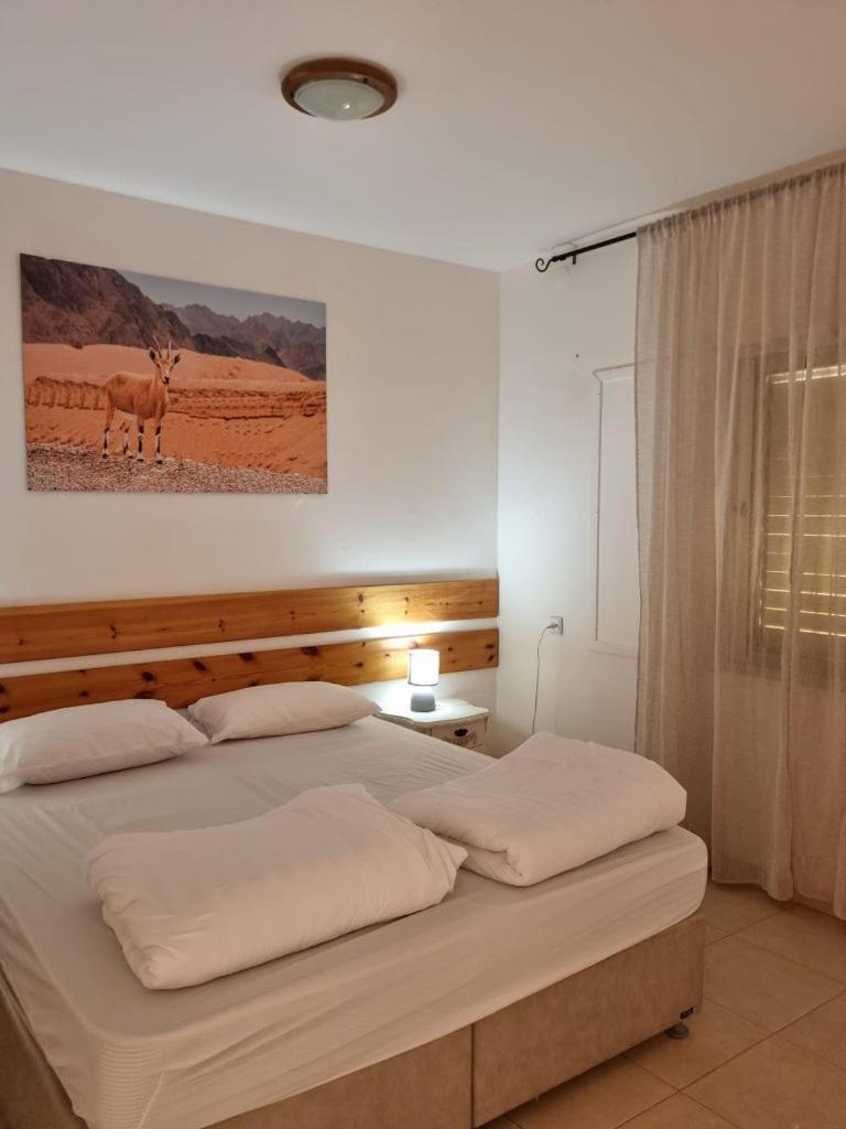 Elifaz Desert Experience Holiday Exterior foto